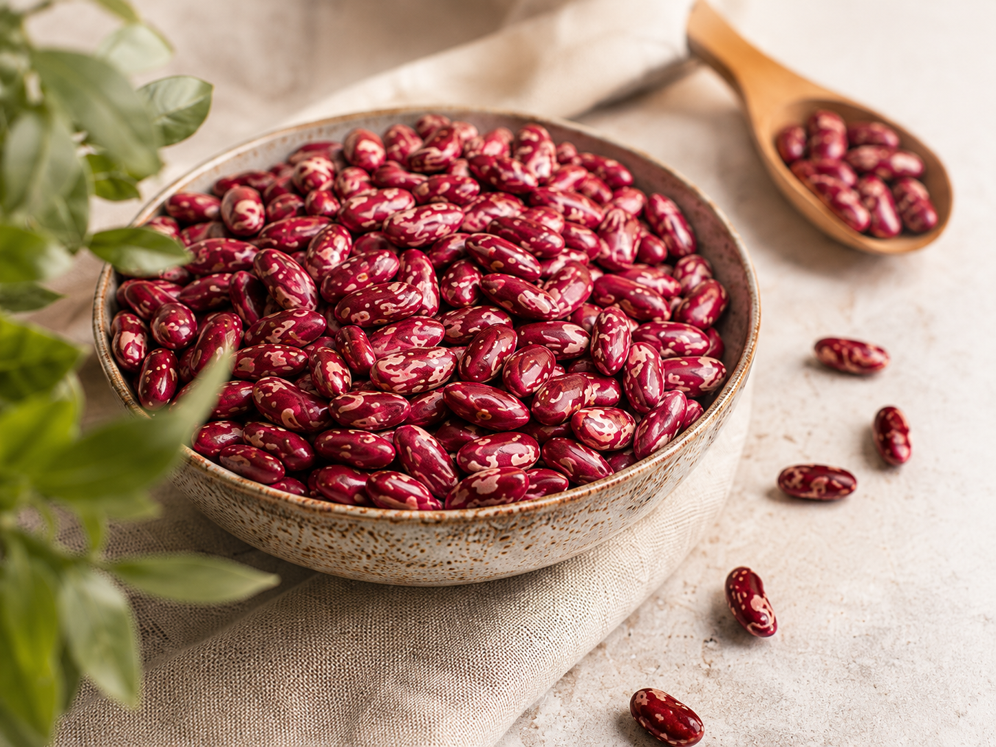 Beans