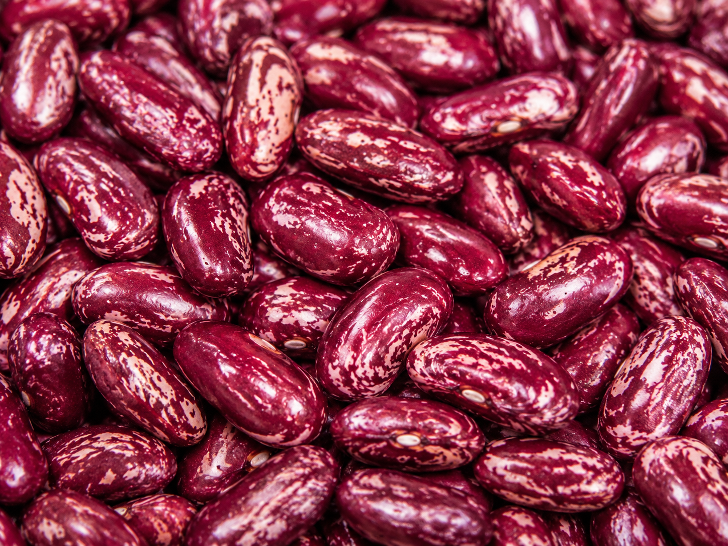 Close-up of beans