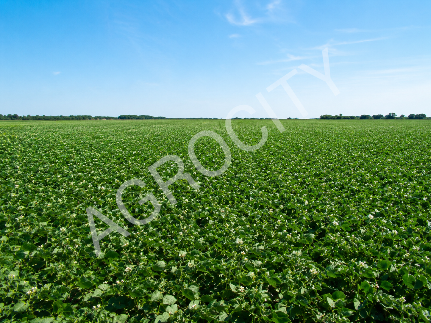 High-quality cultivated areas